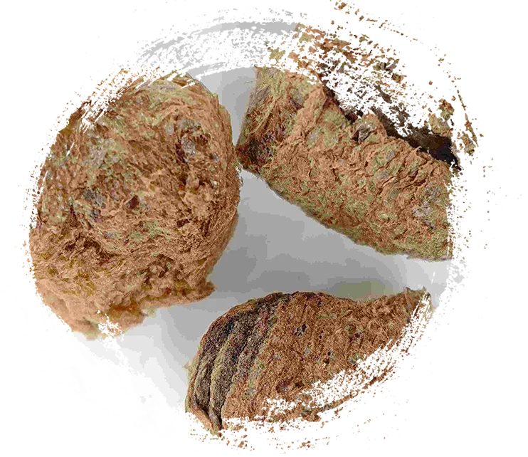 Tun lụa exuviae (Sāngpiáiqiào)