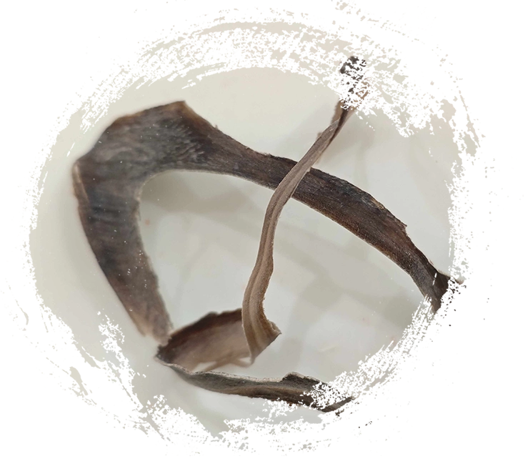 Sừng trâu nước (Shuǐniújiǎo)