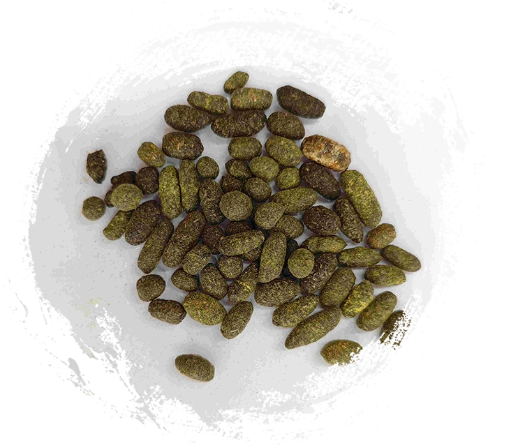 Nhựa sơn mài (Wǔlíngzhī)