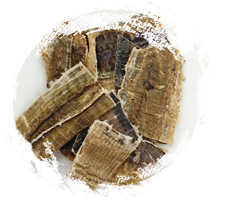 Giun đất (dìlóng)