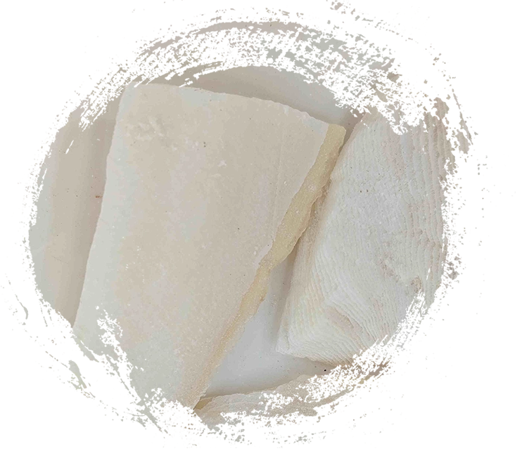 Xươnge (Hǎipiāoxiāo)