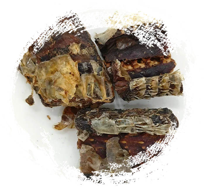 Rắn Black-Zigzag chế biến rượu vang (Jiǔ Wūshāo Shé)