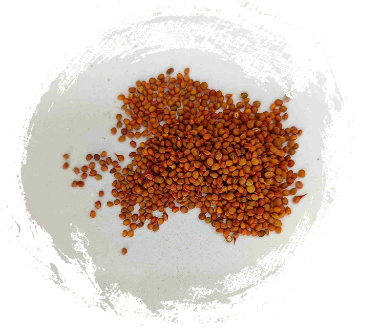 Bạn nên tìm kiếm những đặc điểm nào ở thuốc khoáng chất truyền thống Trung Quốc chất lượng cao?