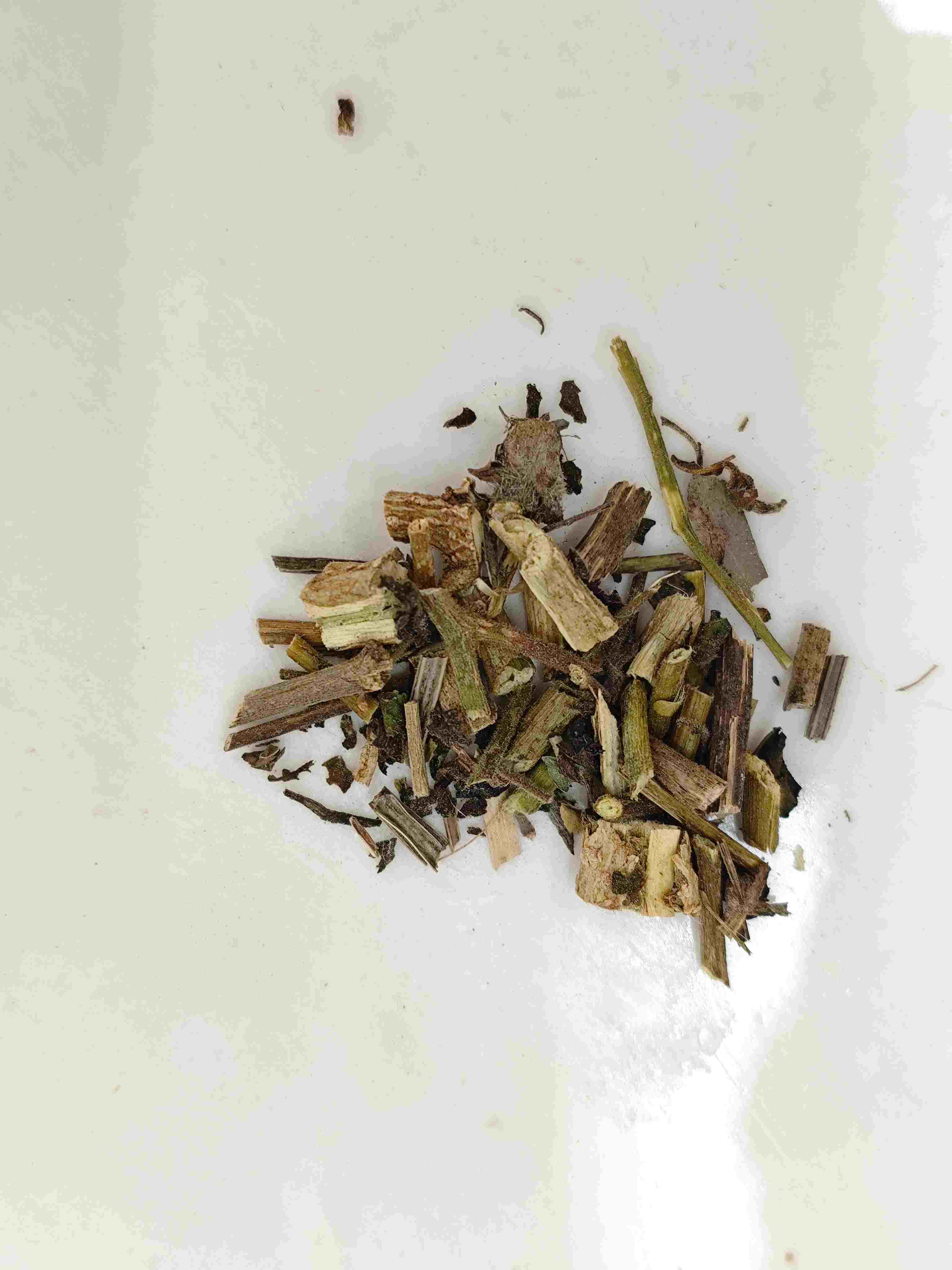 Chồi trắng (Báiyīng)