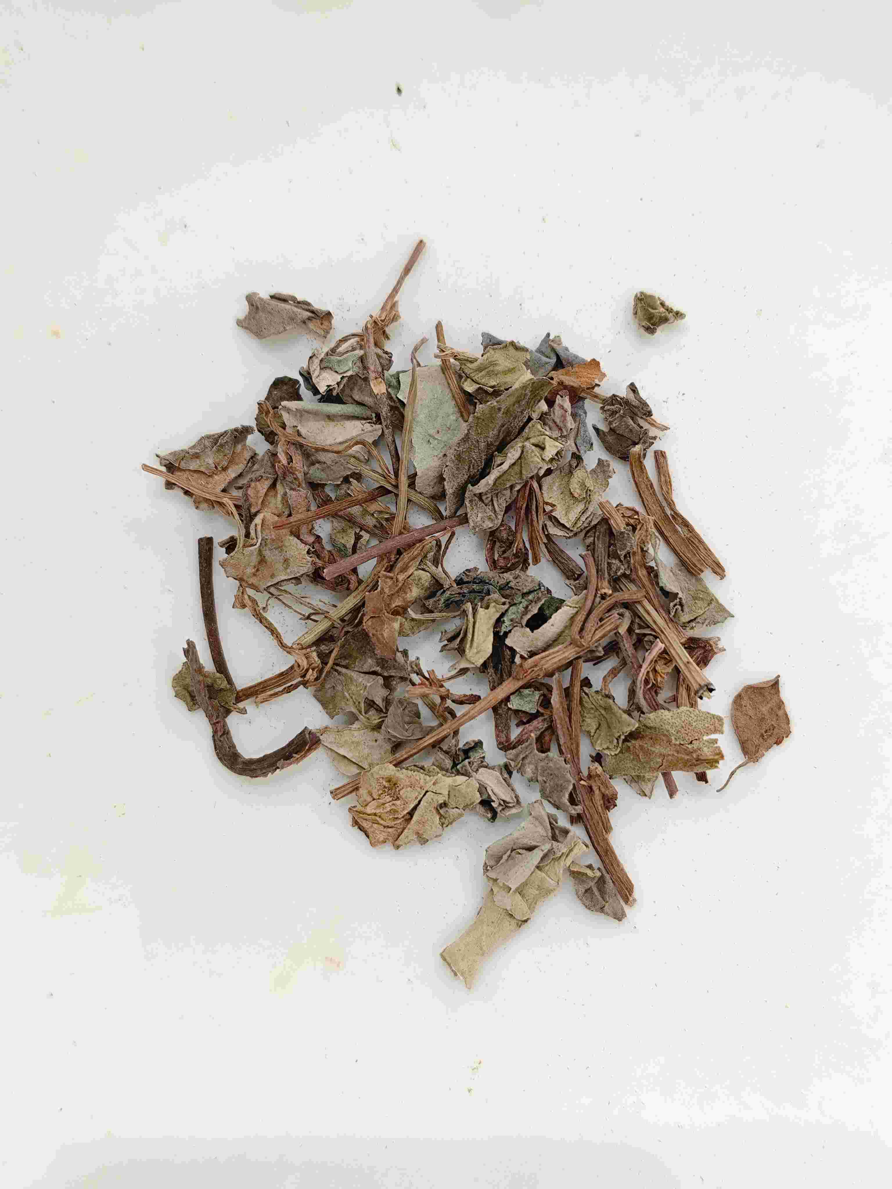 Coinweed (Jīnqián CǎO)