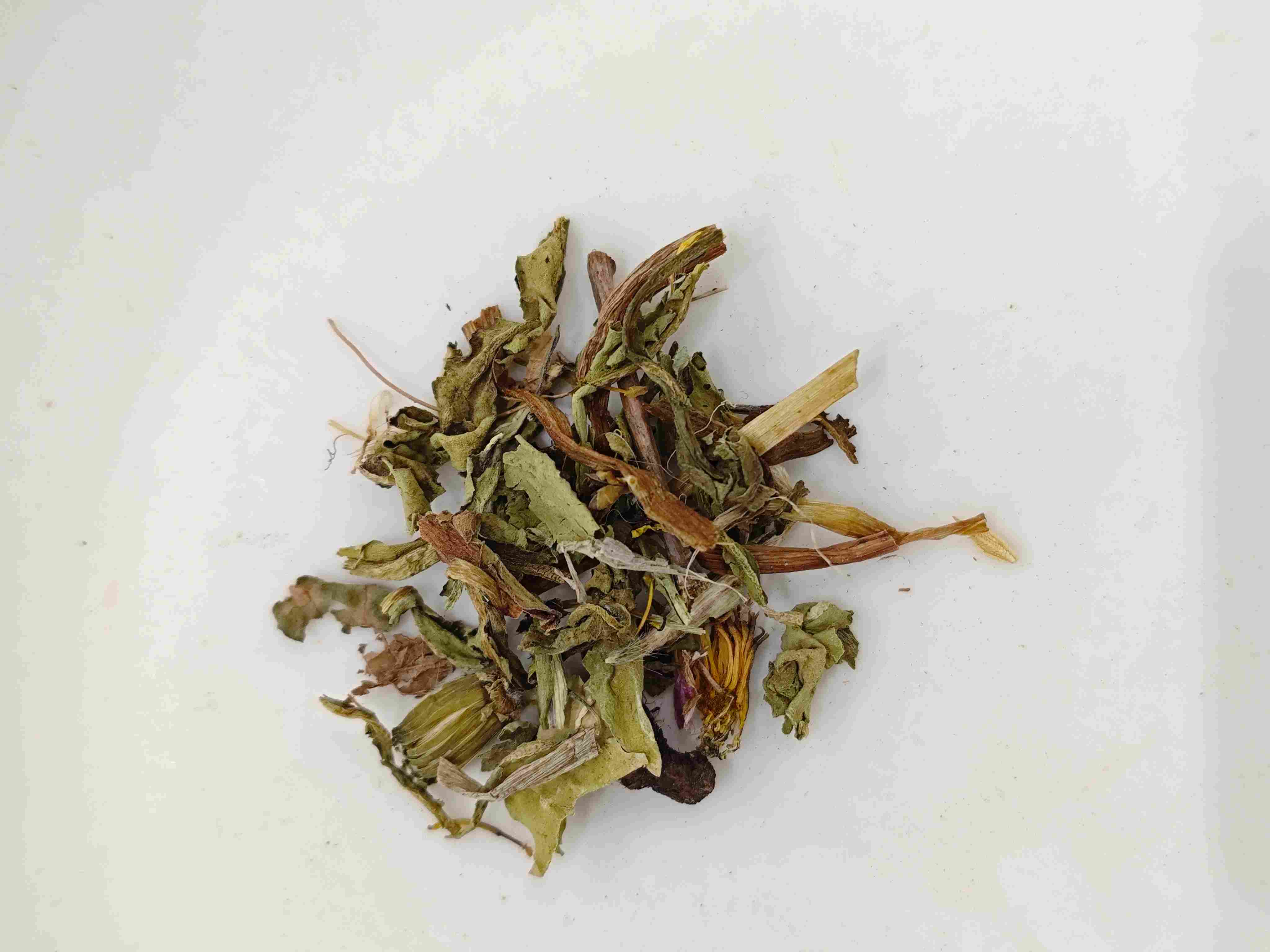 Dandelion (P&uacute;gōngyīng)