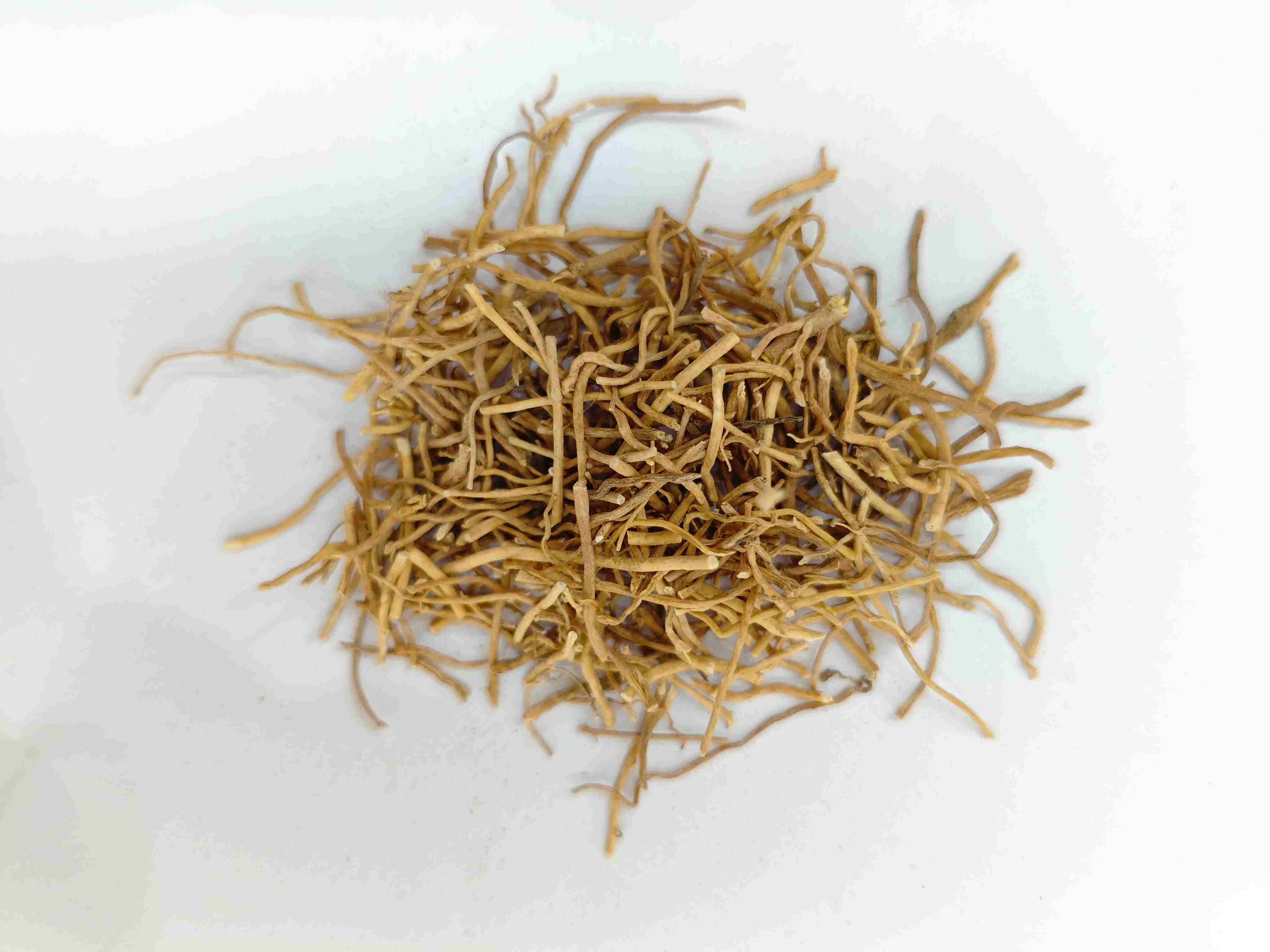 Herba Diplopanthis (X&uacute; Ch&aacute;ng Qīng)