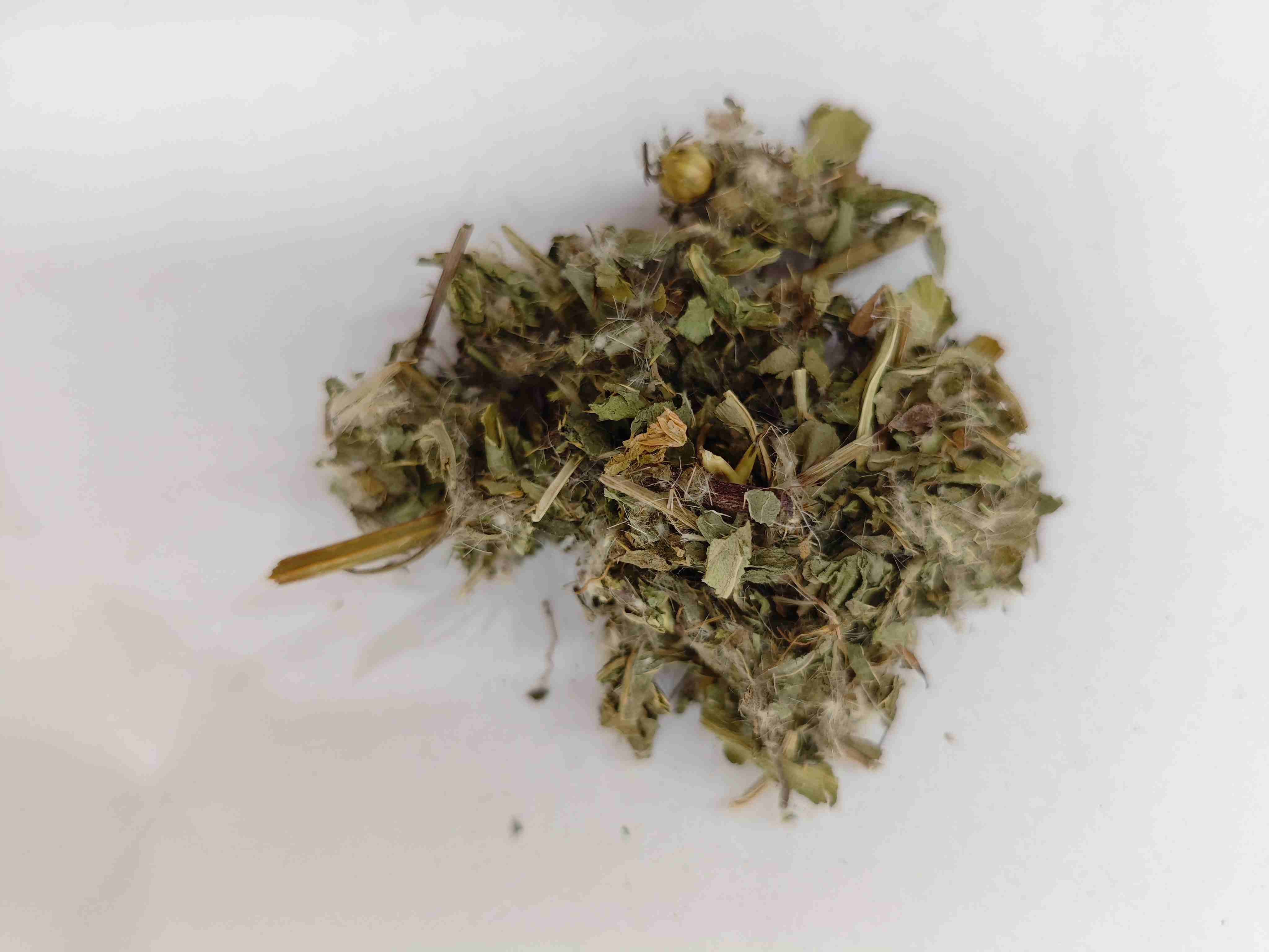 Lesser Thistle (xiǎo j&igrave;)