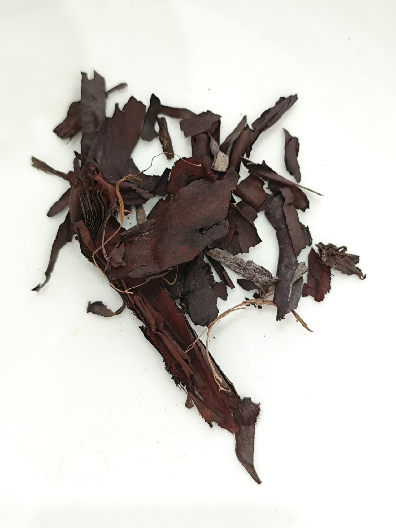 Litvapermum (zǐcǎo)