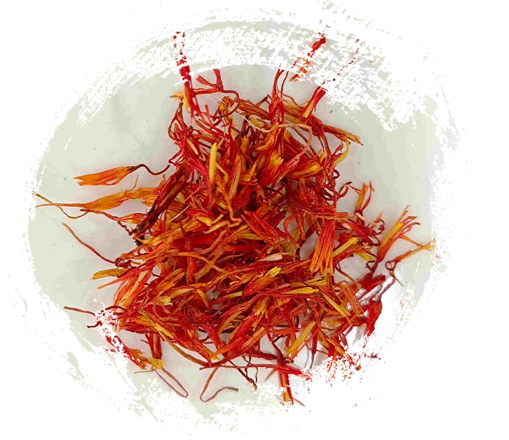 Safflower (Hónhuā)