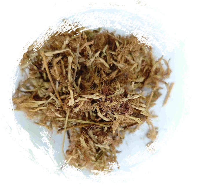 Hoa lụa (Héhuān Huā)