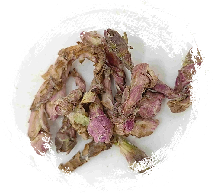 Hoa Winterhelmet (Kuǎndōng Huā)