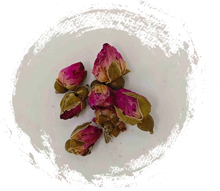 Hoa hoa hồng (Méiguī Huā)