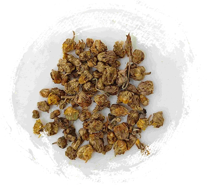 Hoa cúc hoang dã (yě jú huā)