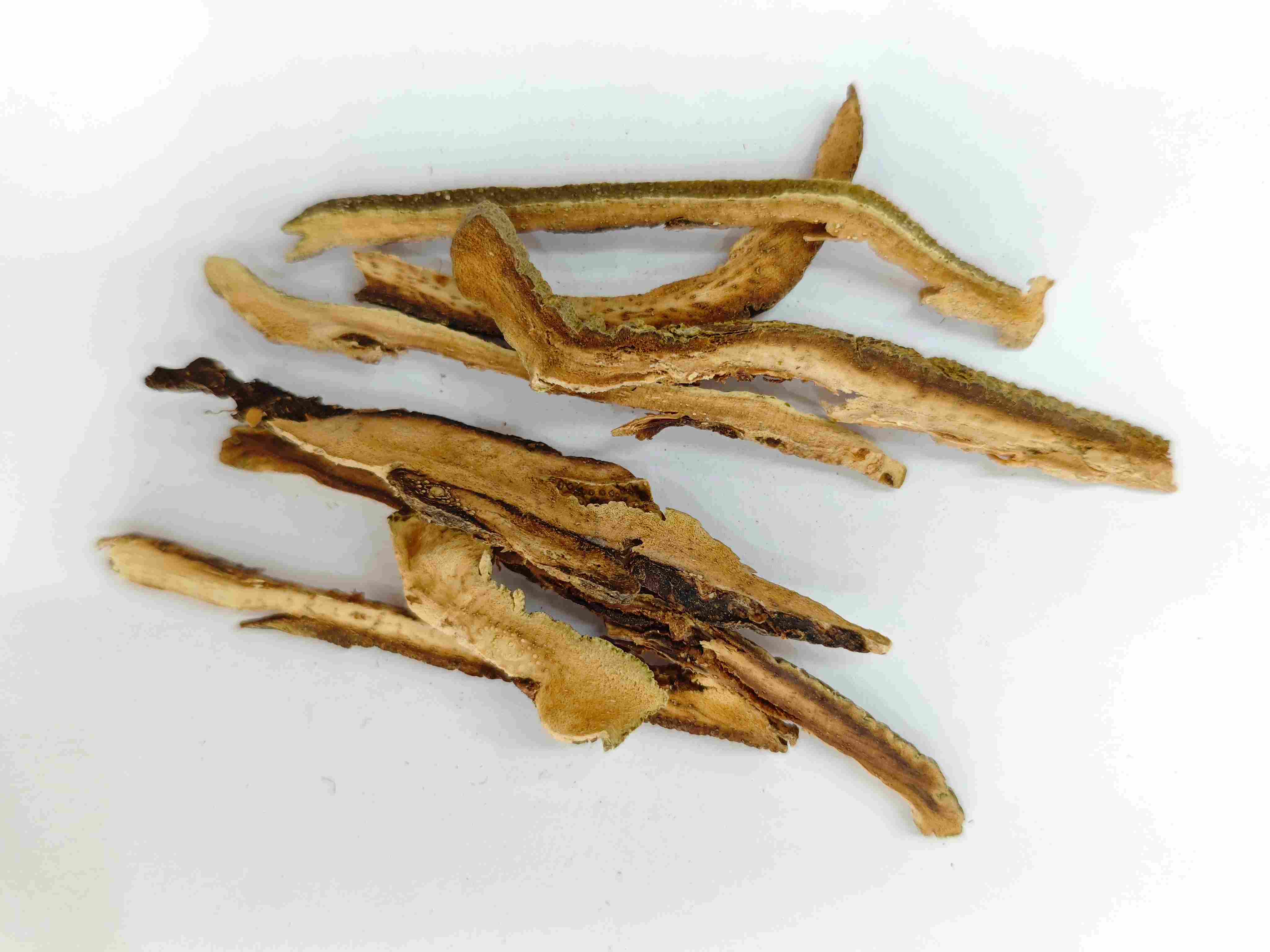 Geel đỏ quý (Júhóng)