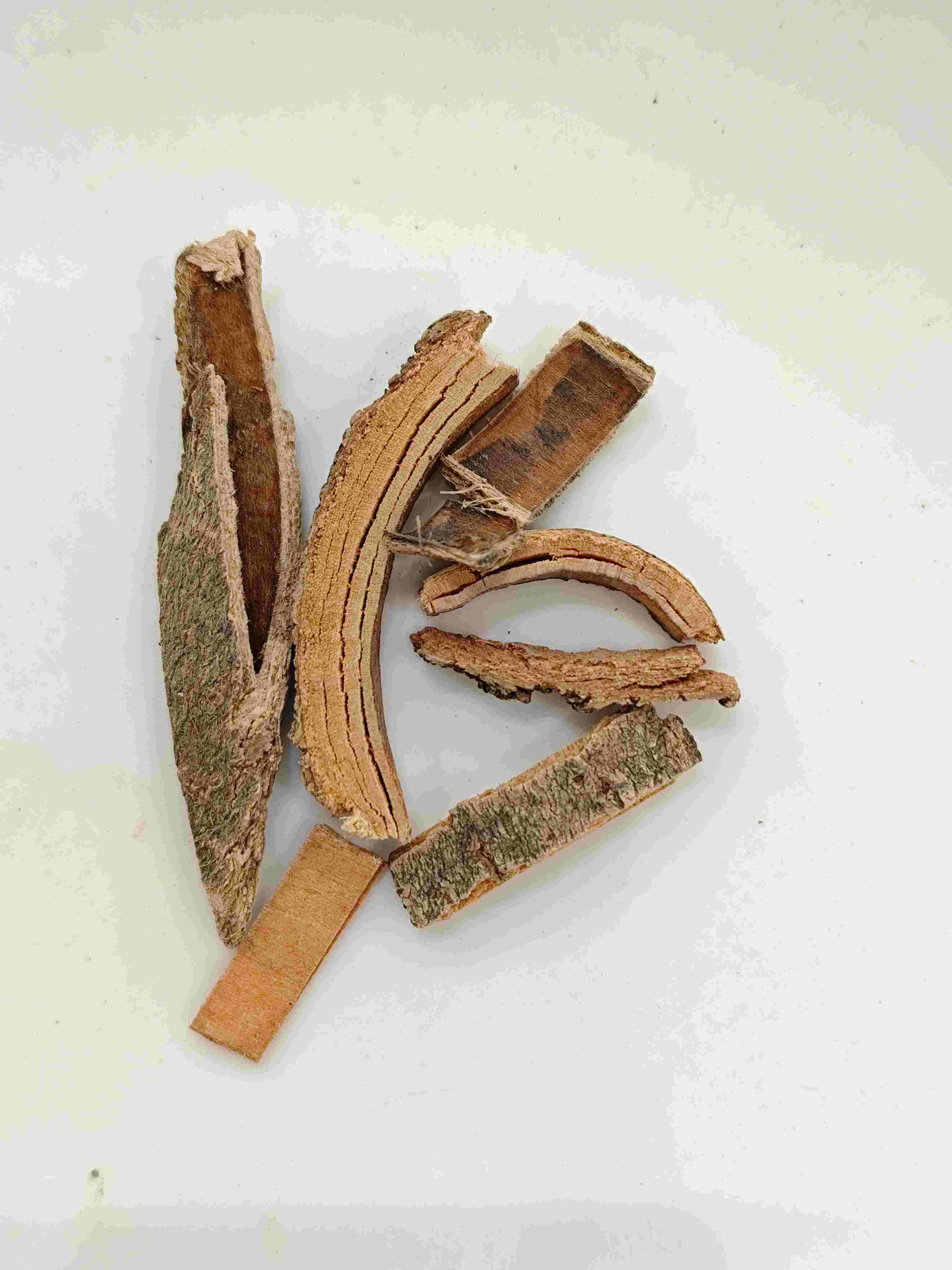 Vỏ tro Trung Quốc (Q&iacute;n P&iacute;)