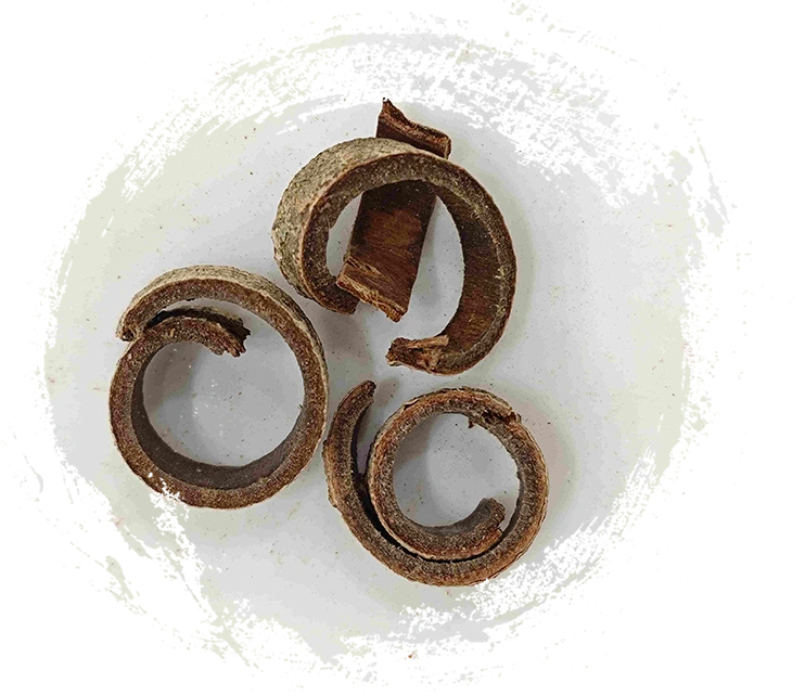 Vỏ cây mộc lan (Hòupò)