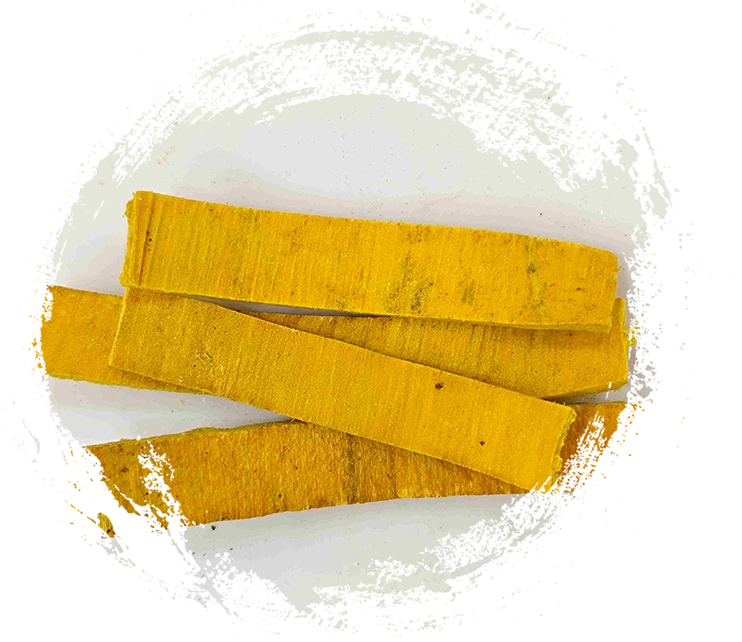 Vỏ cây phellodendron (Huángbò)