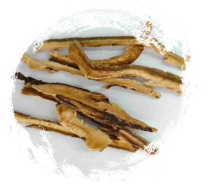 Geel đỏ quý (Júhóng)