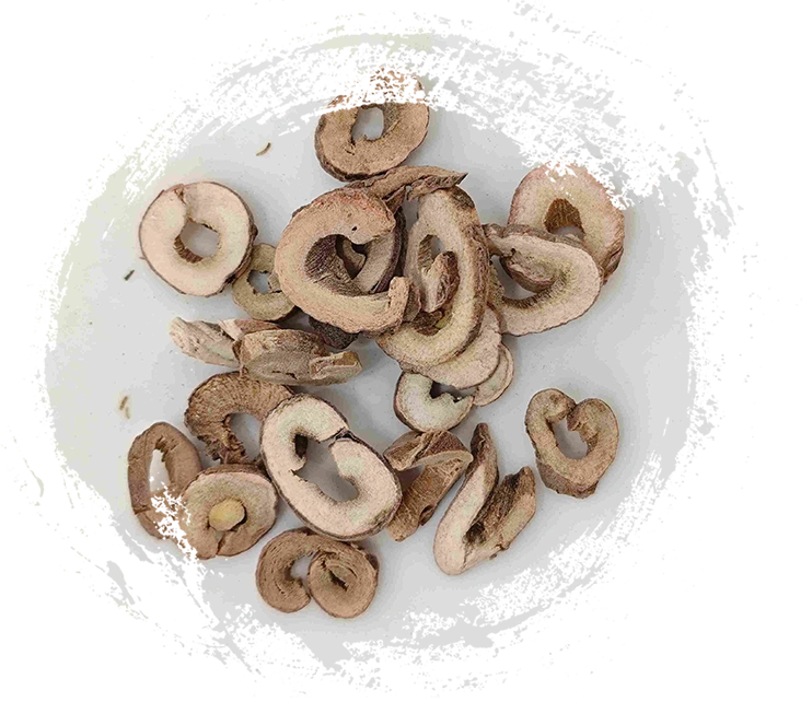 Vỏ cây mẫu đơn cây (mǔdān pí)