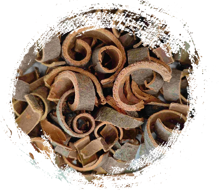 Đặc tính và tính năng chữa bệnh chính của cây thuốc thảo dược TCM