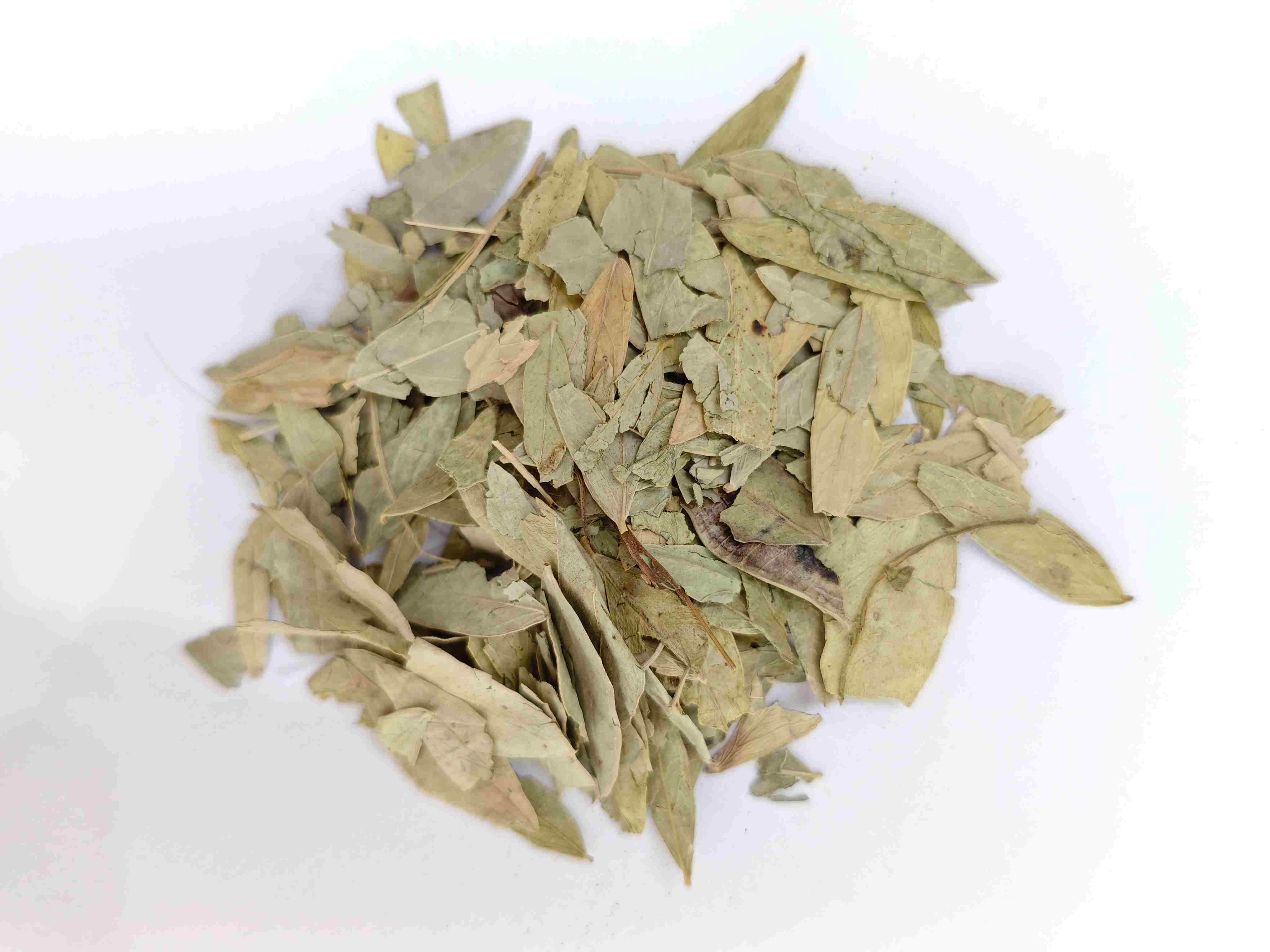 Lá senna (fānxiè yè)