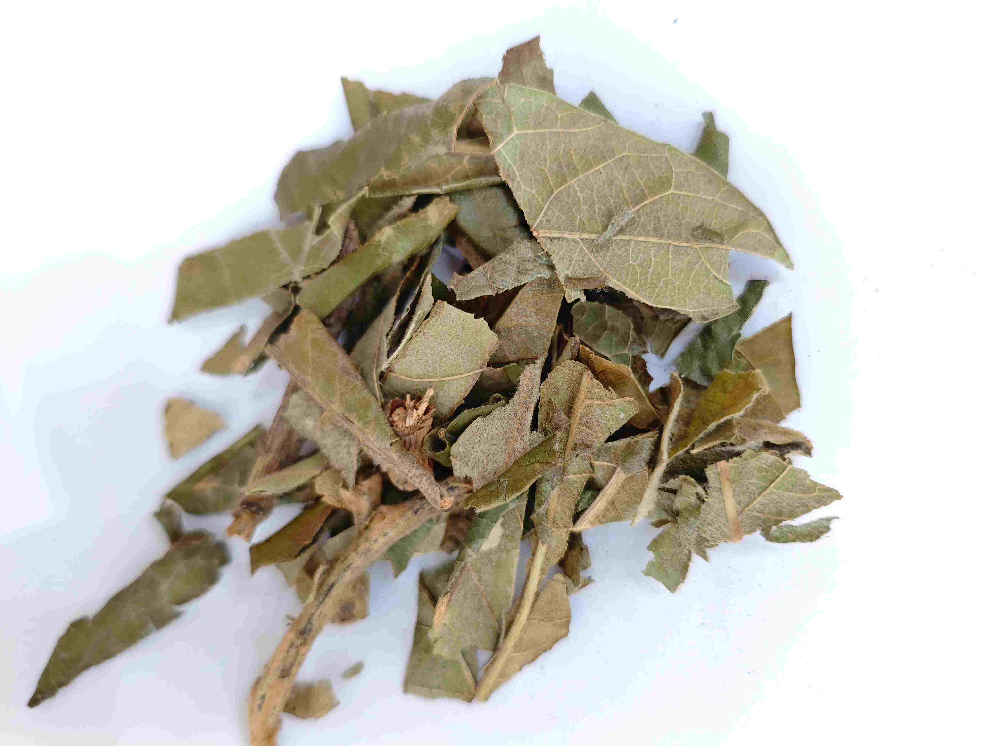 Lá loquat (pípá yè)