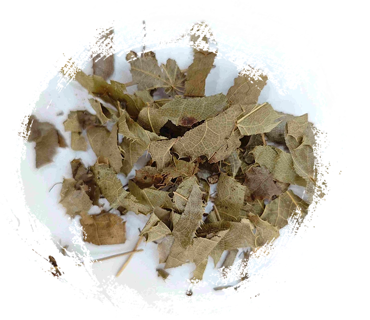 Epimedium (yínyáng huòr)