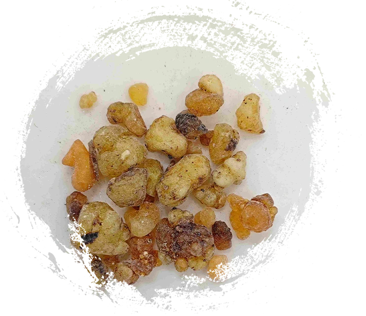 Nhũ hương (rǔxiāng)