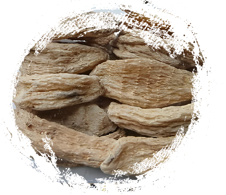 Shennongjia gastrodia elata từ Hubei