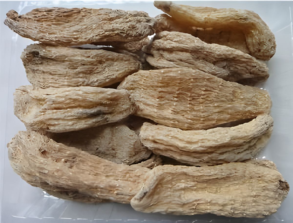 Shennongjia gastrodia elata từ Hubei