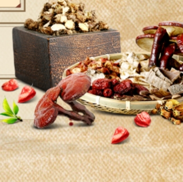 Hiểu về vai trò của thực vật TCM trong việc chữa bệnh tự nhiên và các biện pháp khắc phục tại nhà